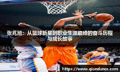 vsport体育在线官网